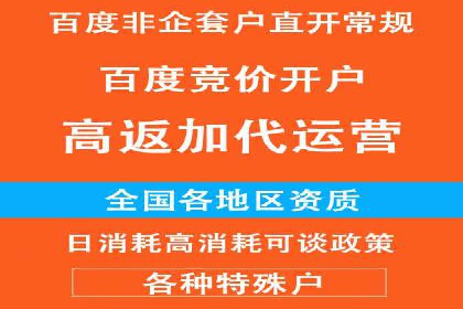 SEM托管服务成功案例：让广告投放更精准、更高效